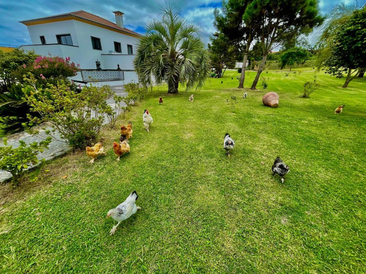 Solar Pontes Guest House Capelas Luaran gambar